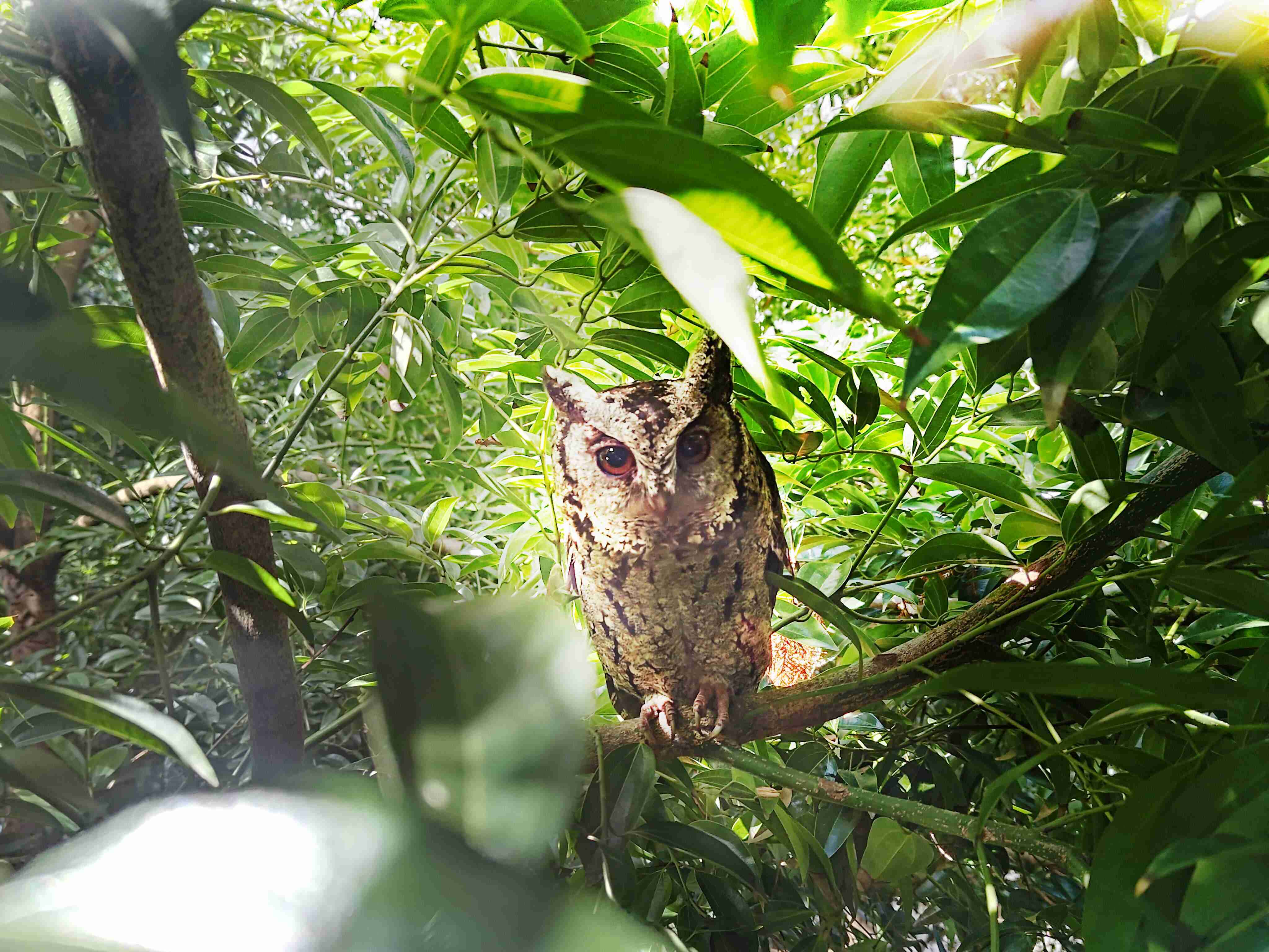 2468BET致力提倡净零绿生活，，，16年以来在全球各厂区植树逾百万棵，，，造就各厂区树木蔚然成林，，，犹如森林工厂，，成为许多生物的栖息地